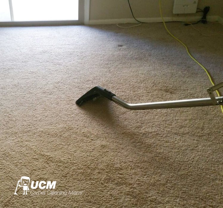 UCM Carpet Cleaning Miami Image
